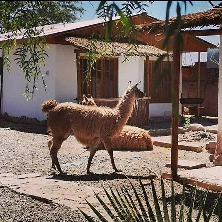 Cabanas Voyage Atacama San Pedro De Atacama Zewnętrze zdjęcie