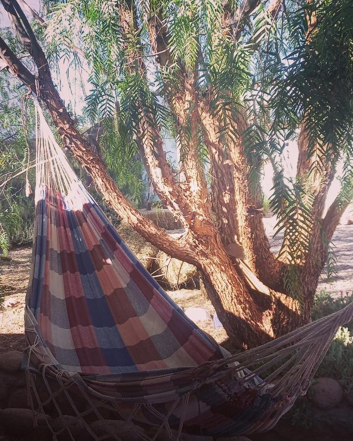 Cabanas Voyage Atacama San Pedro De Atacama Zewnętrze zdjęcie