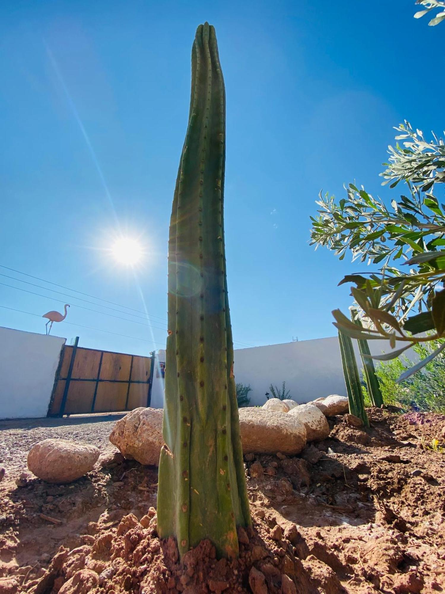 Cabanas Voyage Atacama San Pedro De Atacama Zewnętrze zdjęcie