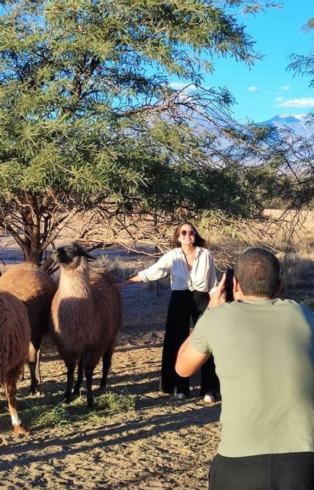 Cabanas Voyage Atacama San Pedro De Atacama Zewnętrze zdjęcie
