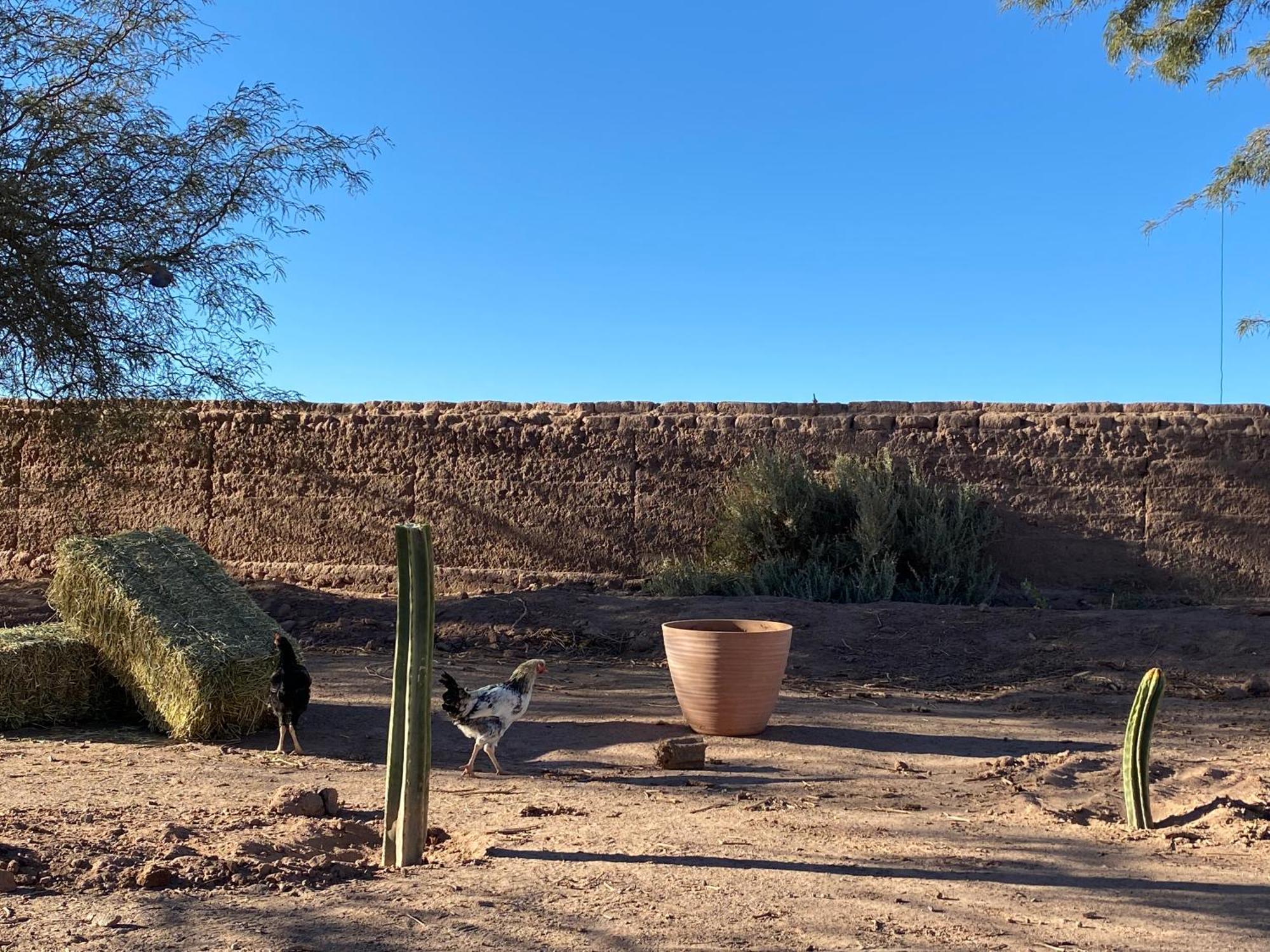 Cabanas Voyage Atacama San Pedro De Atacama Zewnętrze zdjęcie