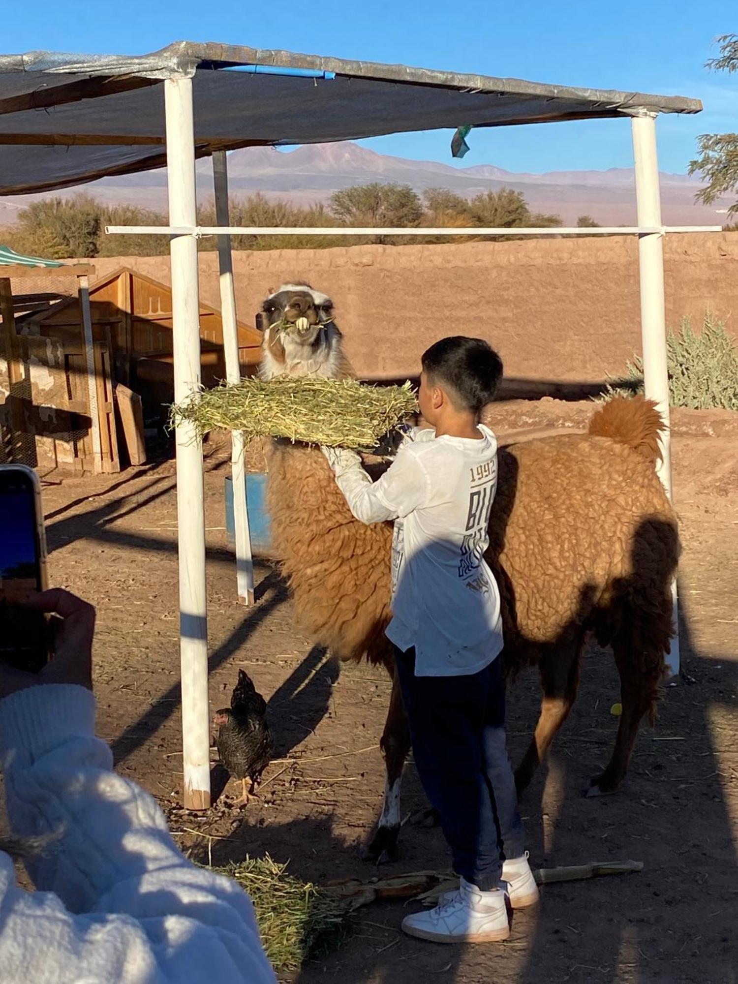 Cabanas Voyage Atacama San Pedro De Atacama Zewnętrze zdjęcie