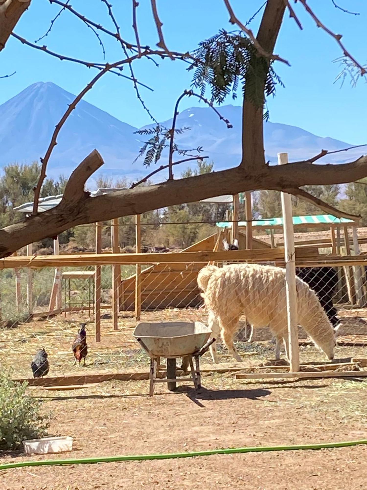 Cabanas Voyage Atacama San Pedro De Atacama Zewnętrze zdjęcie